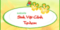 Sinh Vật Cảnh saigon